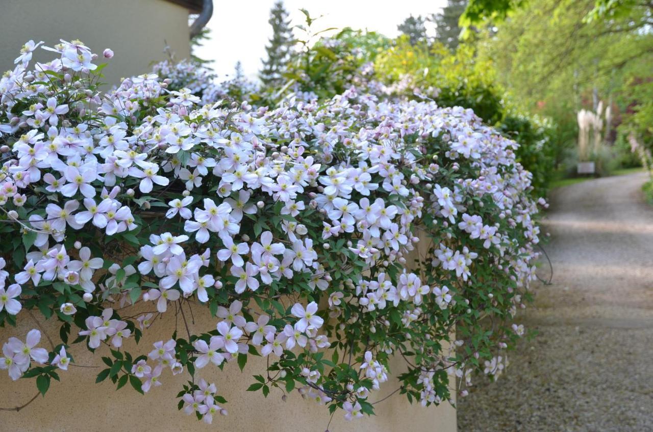 Le Clos Fleuri Bed & Breakfast Giverny Exterior foto